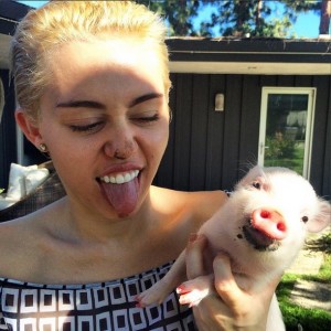 Miley Cyrus y su cerdito