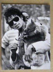 Michel Jackson  tuvo y koala como mascota