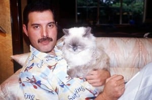 Freddie Mercury con uno de sus  gatos