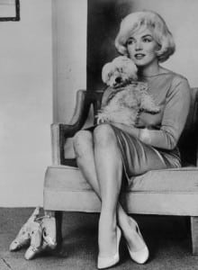 Marilyn Monroe y  su perro Maf.