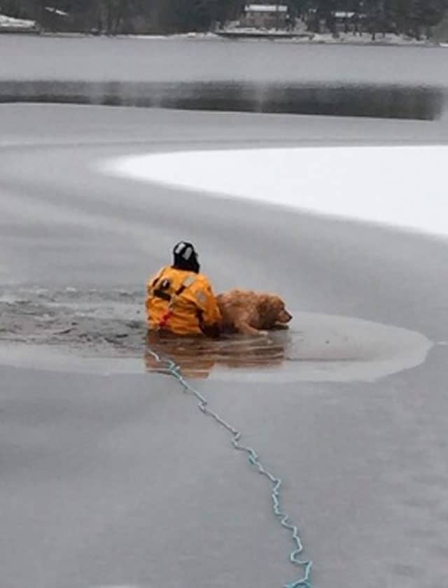 bombero-Waterboro-Maine-rescata-perro-lago-helado