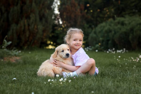 cuidados golden retriever