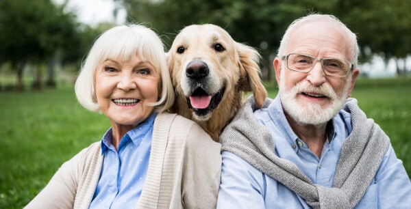 golden retriever ideal para personas mayores y dependientes